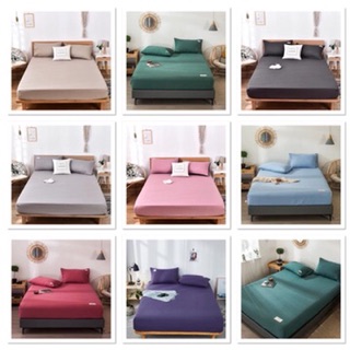 (Chat Chọn Màu) Set Cotton tici 3 Món Hàng Nhập Khẩu Cao Cấp