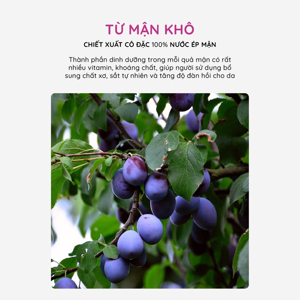 Thạch collagen jelly Aishitoto Nhật Bản Iron vị mận khô (30 thanh)