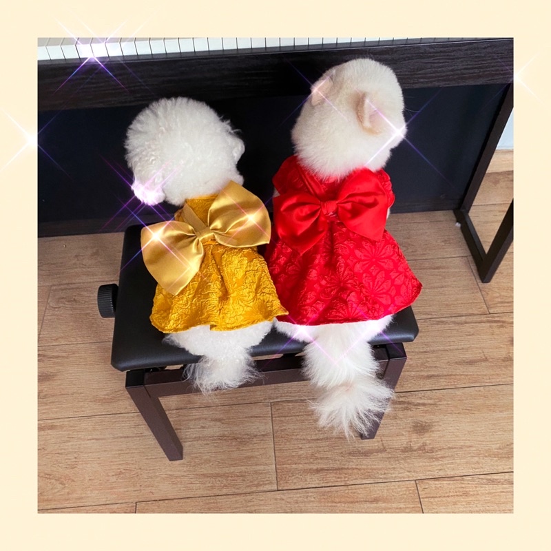 Đầm nơ bản to cao cấp chó mèo