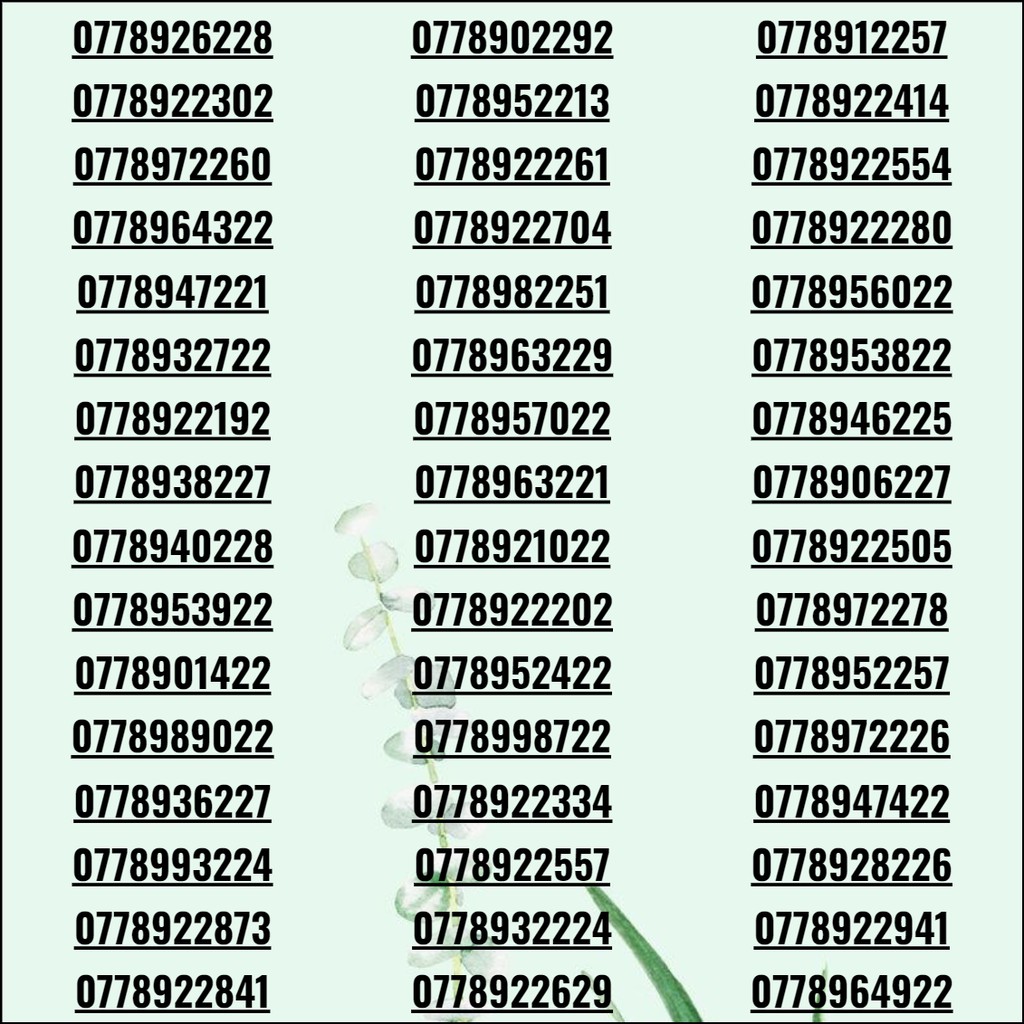 Sim số đẹp, sim 3G/4G/5G giá rẻ phong tiến khuyến mãi vĩnh viễn có thể sảnh tiến, tứ quý, lộc phát max data