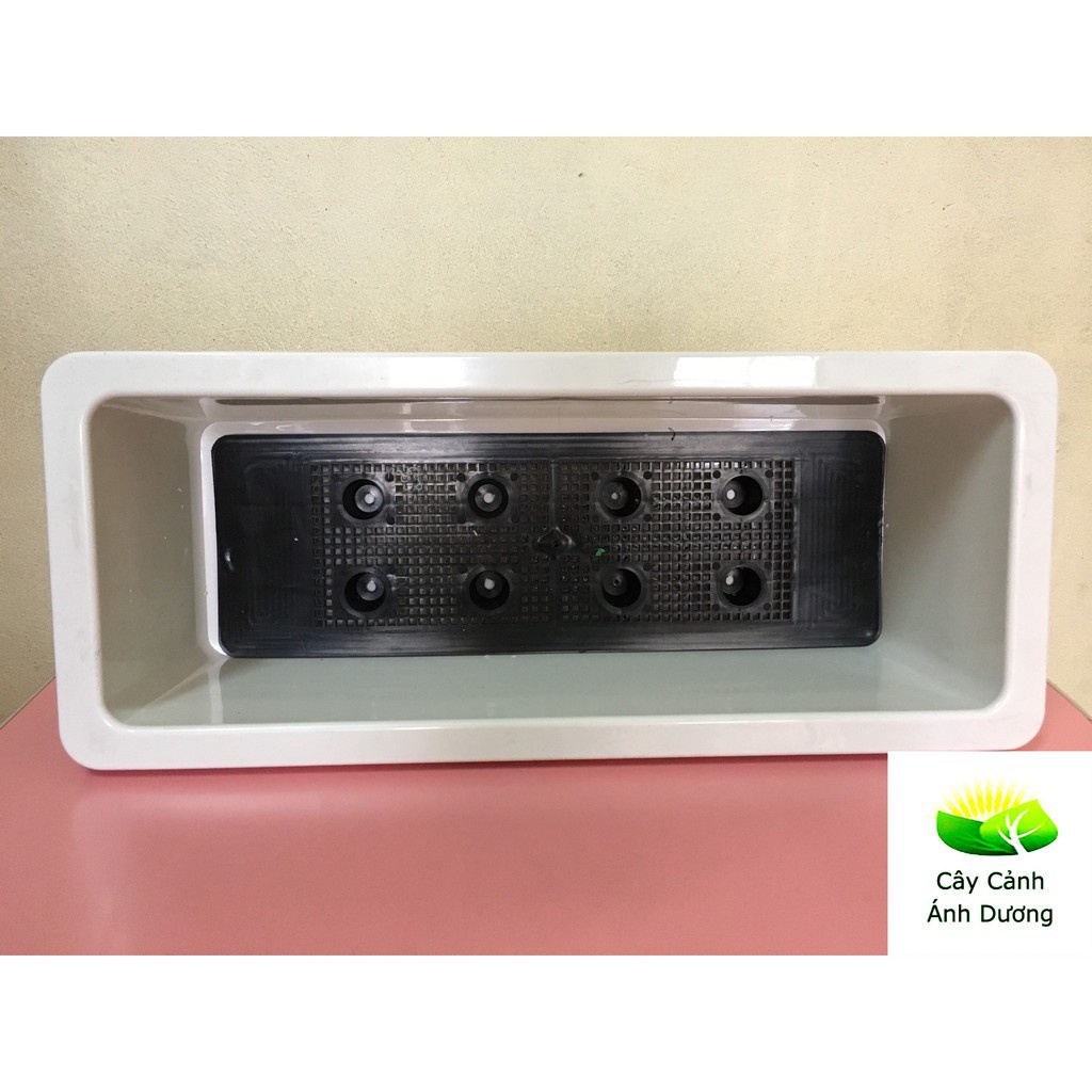 Set 02 Chậu nhựa thông minh trồng rau, trồng hoa, hình chữ nhật, giá treo chậu kích thước 48x20x16cm c/lượng, hg C/ty.