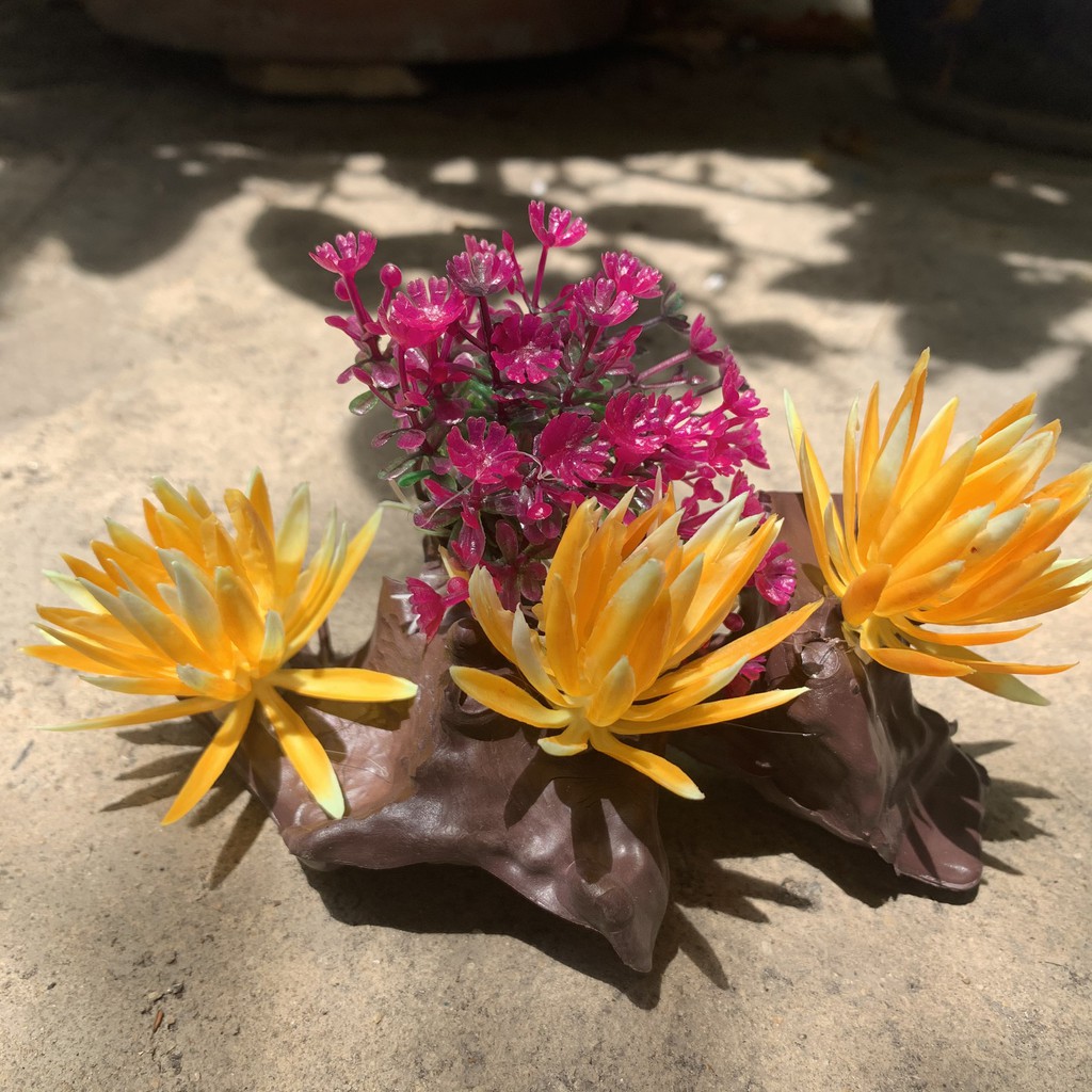 [Chọn mẫu] Bụi hoa lùn trang trí bể cá, hòn non bộ.