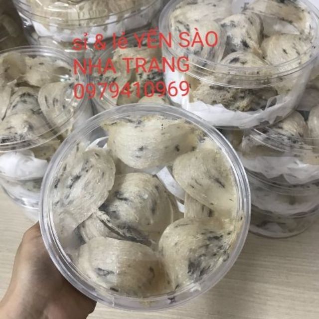 {1 lạng} Tổ Yến Sào Thô còn lông tặng táo đỏ, đường phèn, hạt chia - Yến Thô Nguyên Chất