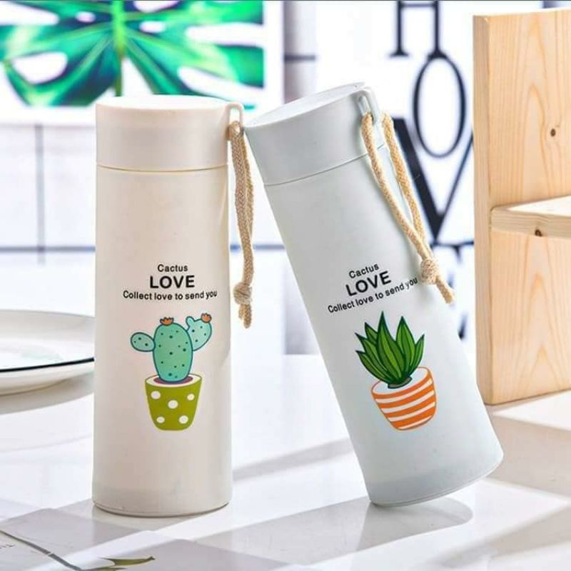 Bình đựng nước xương rồng