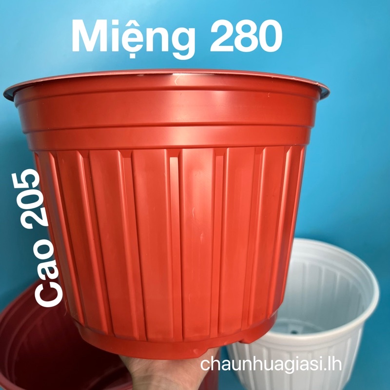 Chậu nhựa mỏng vành cứng trồng cây-Chậu nhựa TTK 150, TTK 180, TTK 200, TTK 230, TTK 260, TTK 280