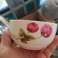 10 CHÉN CƠM LOẠI ĐẾ BẰNG VÀ ĐẾ NHỌN ĐỦ MẪU