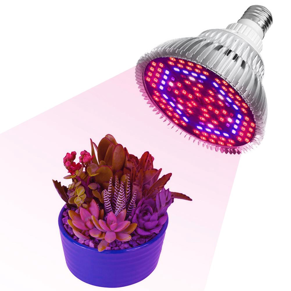 80W Full Spectrum LED Grow Light Bóng đèn, Bóng đèn UV IR UV UV SMD cho nhà kính trồng cây trong nhà