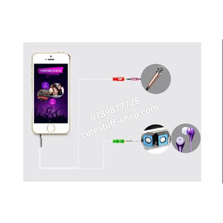 Microphone Mini