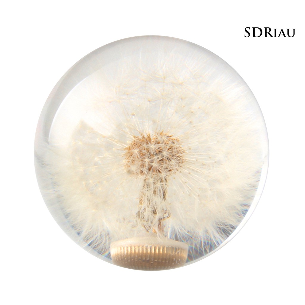 Tay Nắm Cần Số Xe Hơi Hình Hoa Bồ Công Anh Độc Đáo