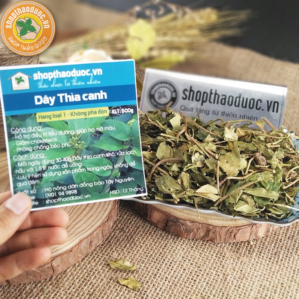 Dây Thìa Canh sạch Gói 500G - Dây Thìa Canh Shop Thảo Dược - Hỗ Trợ Ngăn Ngừa Bệnh Béo Phì, Ổn Định Đường Huyết