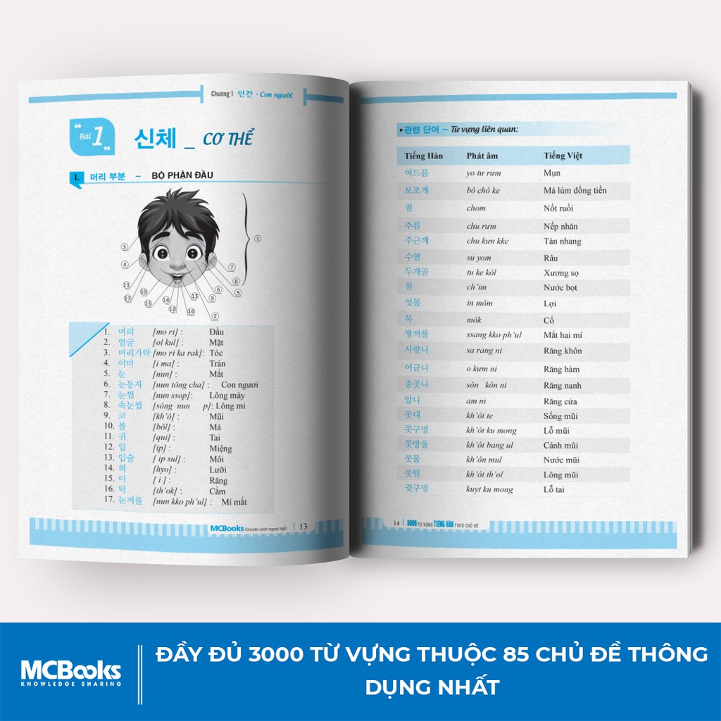 Sách - 3000 Từ vựng tiếng hàn theo chủ đề - Làm chủ từ vựng tiếng Hàn sau 3 tháng