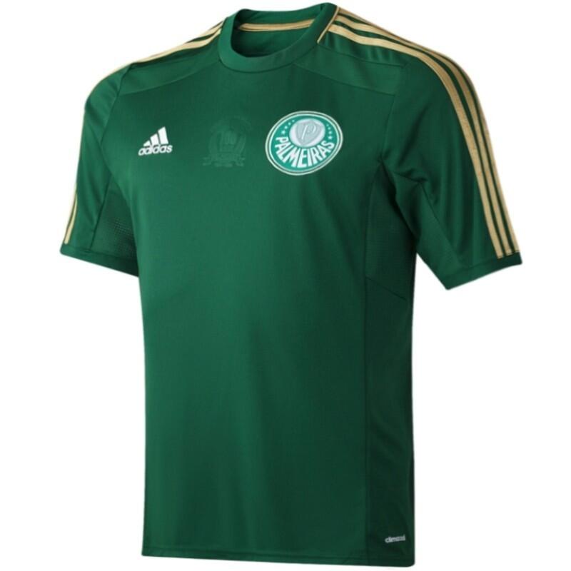 Áo Thun Kỷ Niệm 100 Năm 2014 2015 Palmeiras Dành Cho Nam 14 15