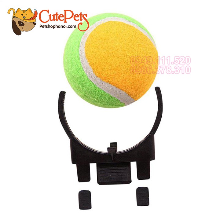 Phụ kiện Bóng hỗ trợ chụp ảnh thú cưng - CutePets