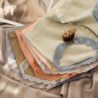 2105QC.VN - Set 5 quần chip cotton