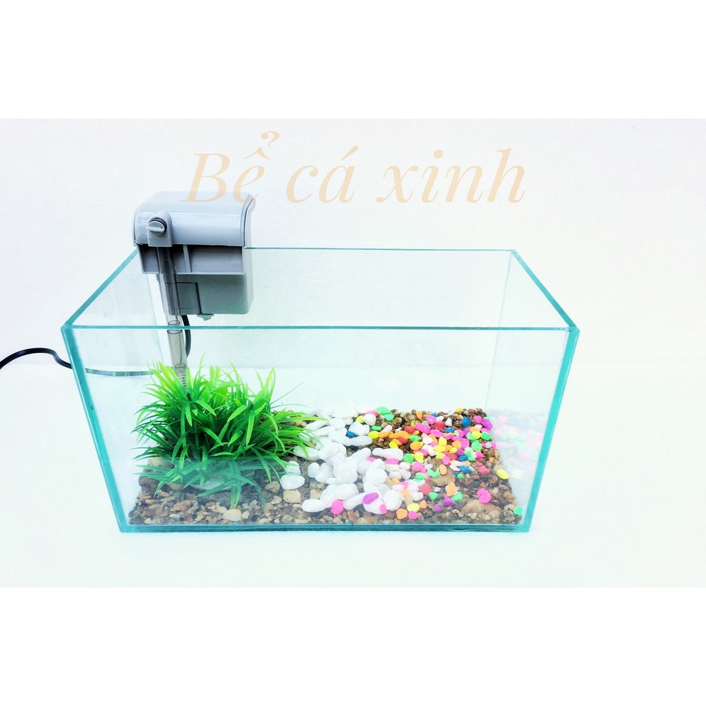 Bể cá mini để bàn 30x15x15 cm (Tặng phụ kiện trang trí)