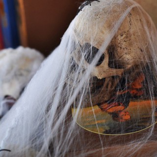 Mạng/tơ nhện giả trang trí Halloween(kèm nhện lớn nhỏ)