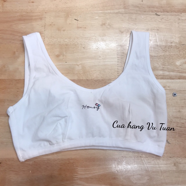 áo lá bản học sinh cotton