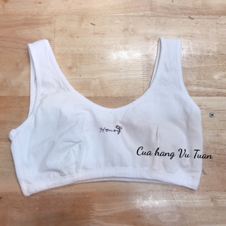Áo lá bản học sinh cotton