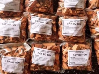 ☘️🍃CÂY MÚ TỪN 1ky 🍁☘️👍