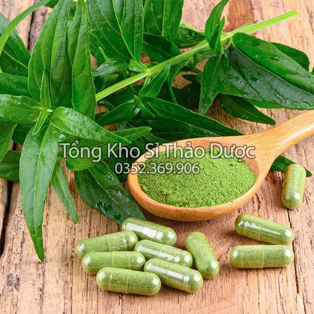Xuyên tâm liên khô 100g (Trà xuyên,kh.áng sinh tự nhiên)