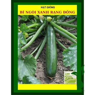 Hạt Giống Bí Ngòi Rạng Đông 1 Gram