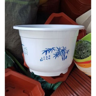 10 cái chậu hoa văn xanh đẹp phi 24cm cao 16cm