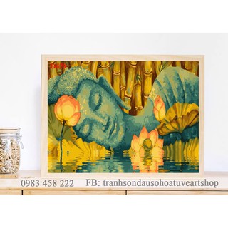 D479 Tranh tô màu theo số sơn dầu số hóa ARTSHOP đã căng khung sẵn và dầu phủ bóng