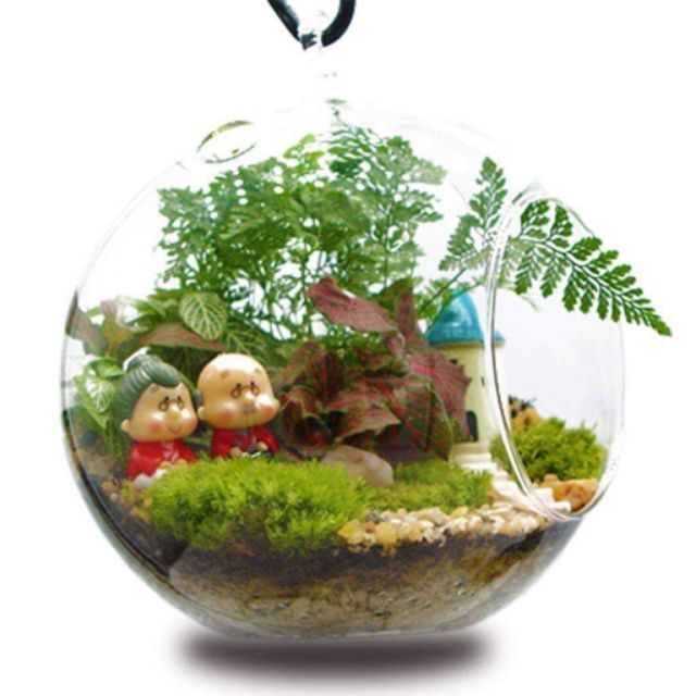 Mô hình ông bà trang trí tiểu cảnh terrarium size lớn (cặp)