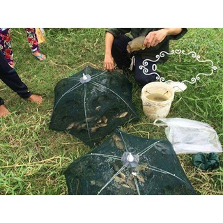 Lưới Đánh Cá Bẫy Lồng Bát Quái