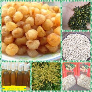 [FREESHIP 99K TOÀN QUỐC] Hạt sen khô