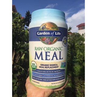 Protein raw meal sẵn 2 vị socola và vani