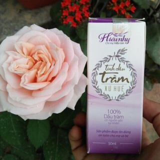 Dầu tràm Hiểu Nhy 50 ml