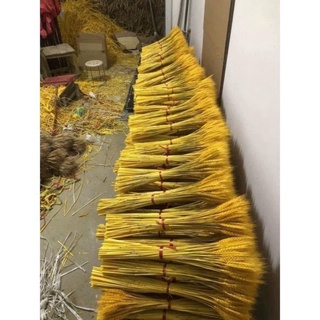 Hoa bông  lúa yến mạch khô
