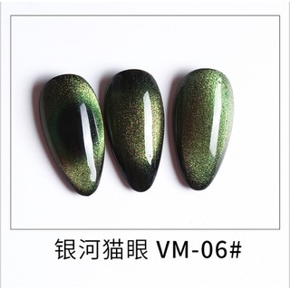 Sơn Gel Mắt Mèo 9D AS 15ml Mã VM