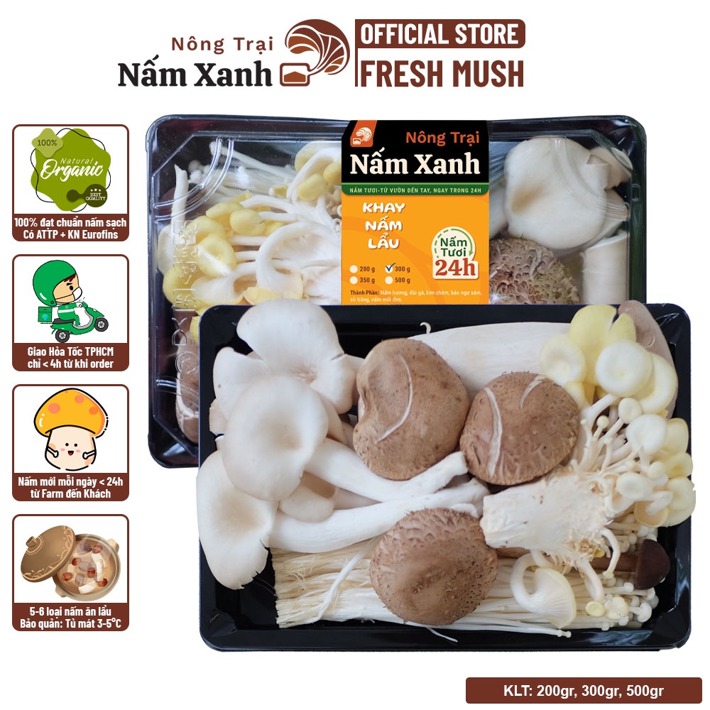 [HCM] Combo Nấm Lẩu Happy Khay 200gr Với 5 Loại Nấm Tươi Nhúng Lẩu Tiết Kiệm Tiện Lợi - Nông Trại Nấm Xanh