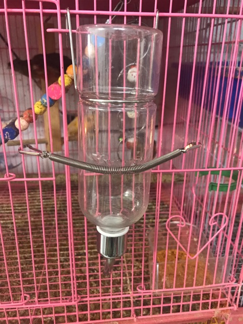 Bình nước chuyên dụng cho vẹt 350ml.