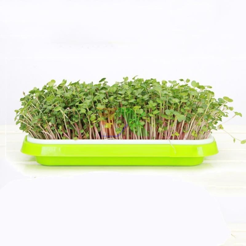 Bộ kit Khay trồng rau mầm thủy canh chuyên dụng (6 khay 3 tầng )