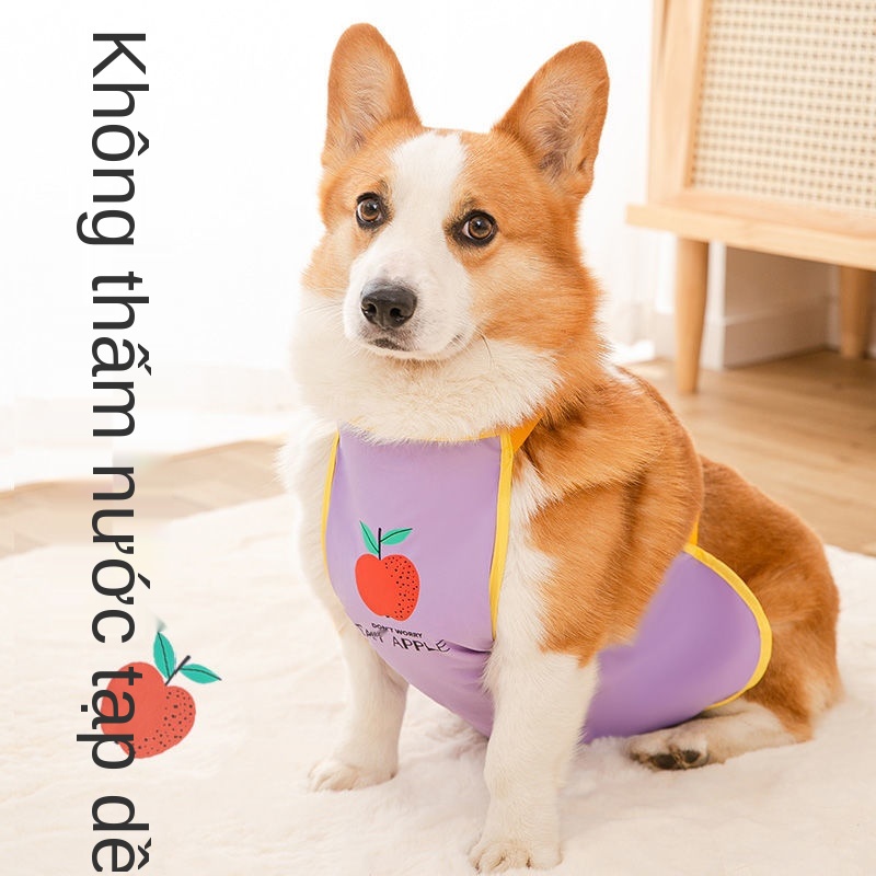 ❄♦✴Trái cây in hình con chó con chó dudou không thấm nước corgi vật nuôi đặc biệt con chó cỡ trung bình bốn mùa quần áo