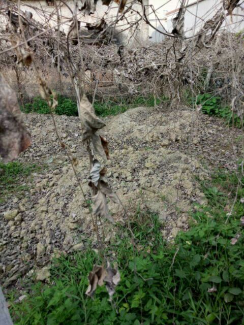 Combo 2kg bột sắn dây ta tự làm nguyên chất thanh nhiệt cơ thể, đẹp da, trắng da