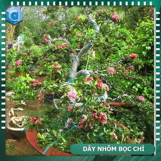 Dây nhôm uốn cây cảnh (đường kính 2mm, 3mm, 4mm; 5mm dài 10m)