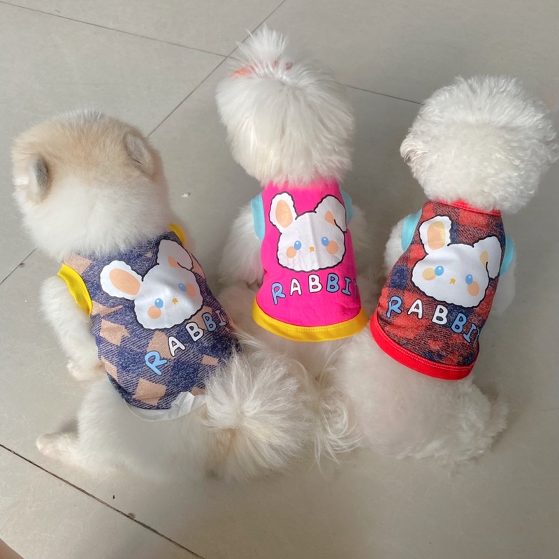 Áo thun mùa hè thú cưng