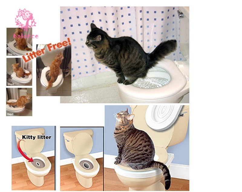 Khay tập đi vệ sinh cho mèo tiện lợi