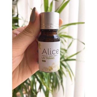 Tinh Dầu Xông Phòng Hoa Lài Thiên Nhiên Alice 10ml - Tinh dầu hoa lài nguyên chất