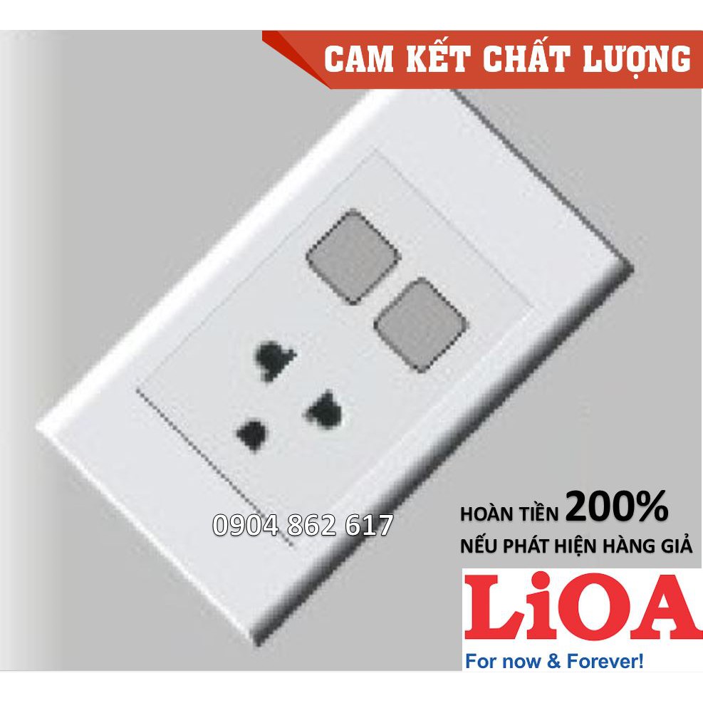 Mặt 1 ổ cắm 3 chấu + 2 lỗ LiOA chính hãng, Nhựa TRẮNG, tiếp điểm ĐỒNG