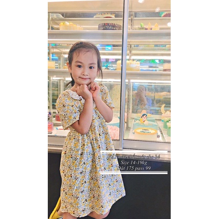 Bộ sưu tầm váy đầm thiết kế công chúa cho bé