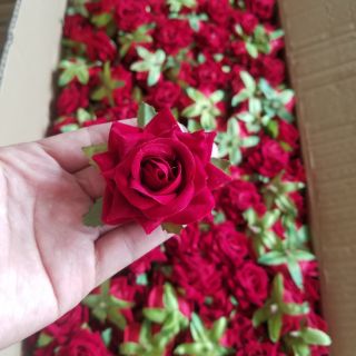 Đầu hoa hồng nhung cao cấp