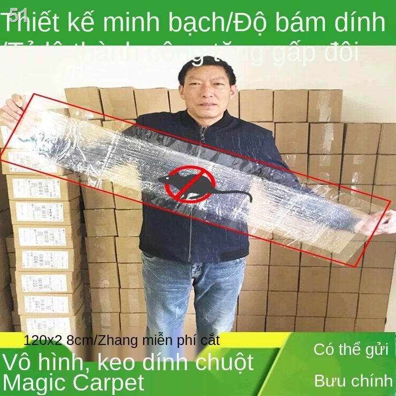 Tấm dán chuột siêu dính bảng bền thảm thuật diệt loài gặm nhấm dùng trong gia đình chắc chắnL