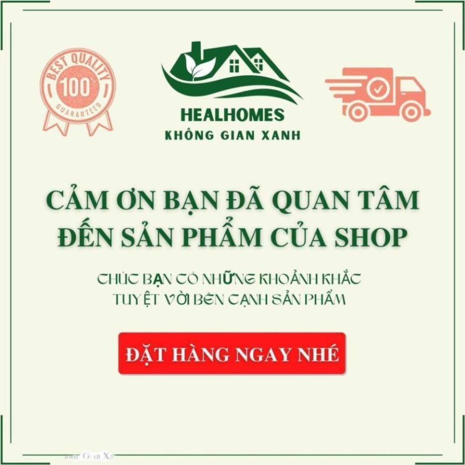 Ghế lười thư giãn Đôn Papasan mây nhựa, decor ban công nằm thư giãn đọc sách, trang trí phòng khách / HealHomes