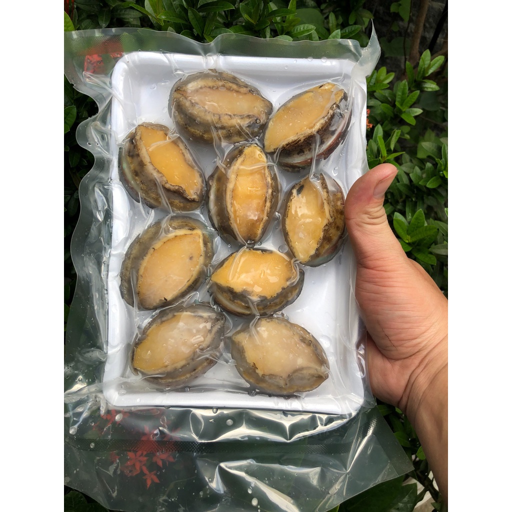 1KG Bào Ngư Hàn Quốc