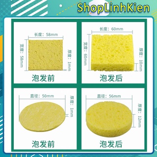 Bọt Biển vệ Sinh Mũi Hàn Tròn 5CM